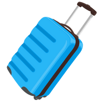 Luggage & Bags